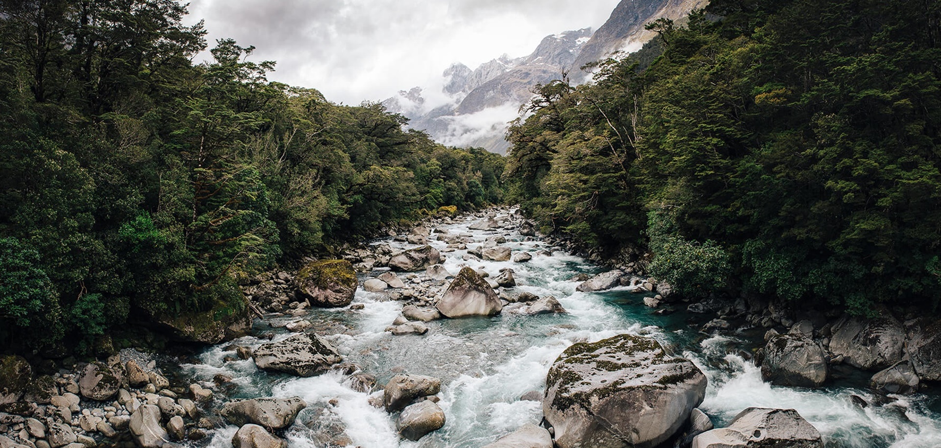 New Zealand River